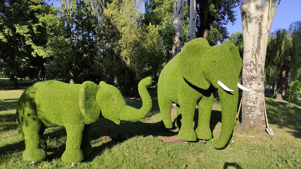 Зеленый зоопарк: в Кривом Роге появились чудо-фигурки животных из растений - рис. 1