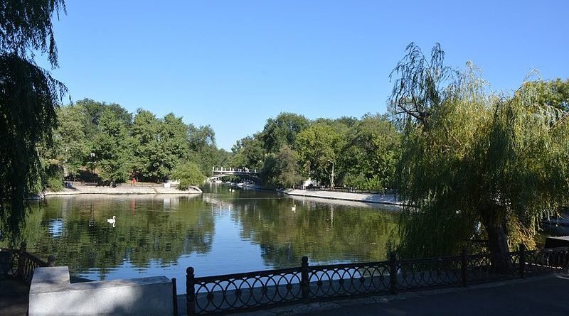 В днепровском парке Глобы возле аварийного моста спилят деревья - рис. 2