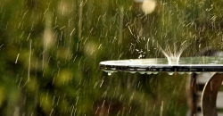 Дождь и тепло: какую погоду обещают в Днепре 12 августа - рис. 8