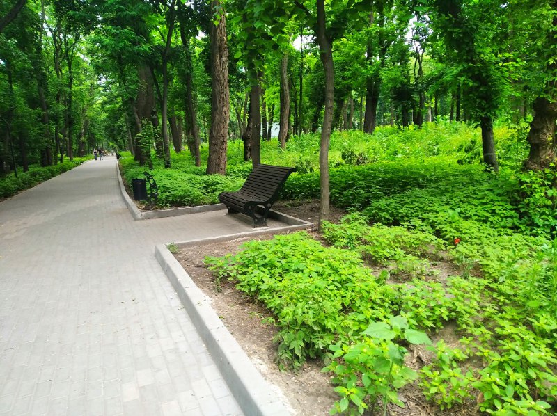В днепровском парке Гагарина вандалы сломали 16 урн: видео - рис. 1