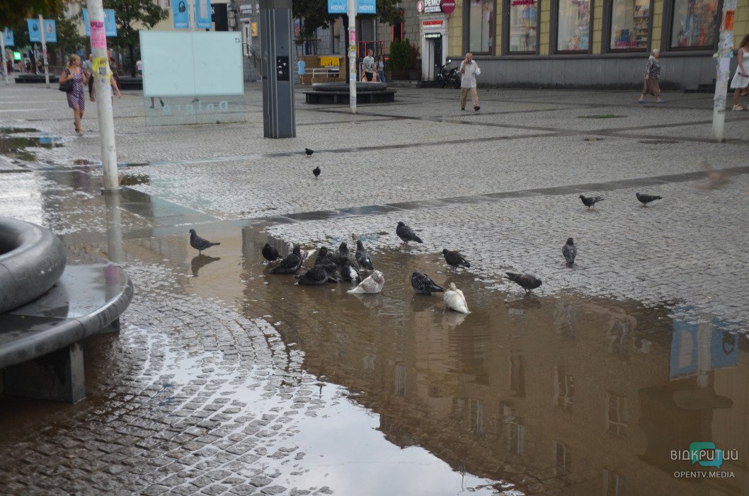Затопленные улицы, вода в маршрутках: последствия непогоды в Днепре (Фото/Видео) - рис. 8