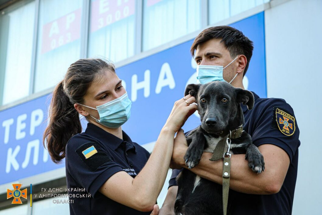 Спасатели Днепра провели акцию в поддержку бездомных животных: фото/видео - рис. 6