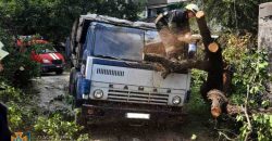 В Днепре упавшее дерево раздавило кабину ехавшего по дороге грузовика (Фото) - рис. 3