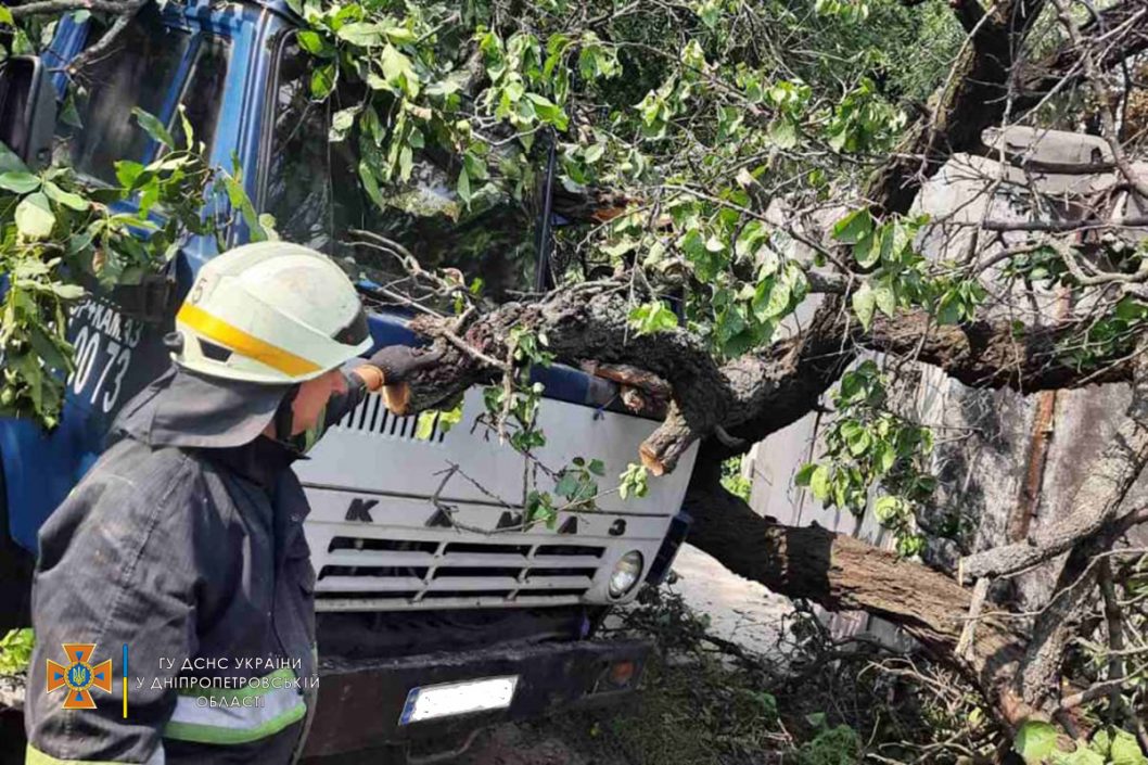 В Днепре упавшее дерево раздавило кабину ехавшего по дороге грузовика (Фото) - рис. 1