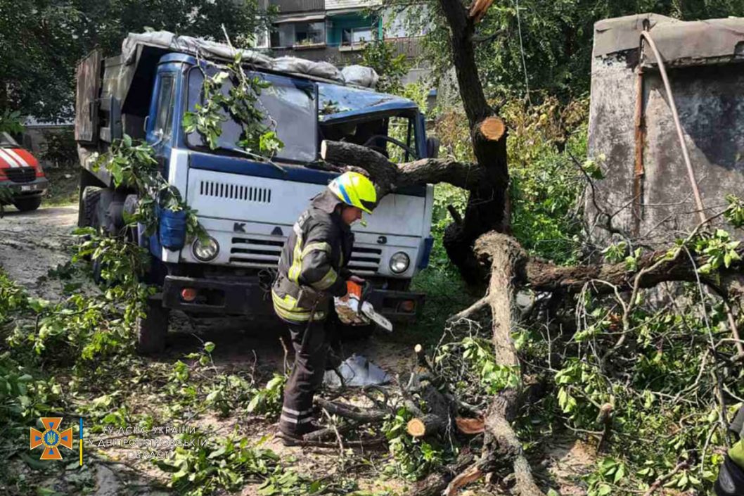 В Днепре упавшее дерево раздавило кабину ехавшего по дороге грузовика (Фото) - рис. 4