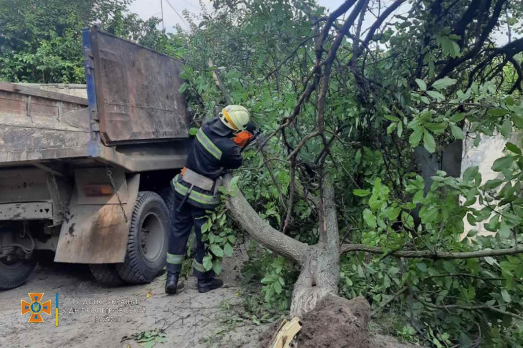 В Днепре упавшее дерево раздавило кабину ехавшего по дороге грузовика (Фото) - рис. 5