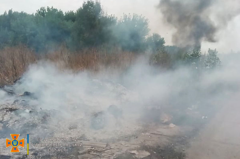 На Днепропетровщине тушили масштабный пожар в лесопосадке - рис. 1