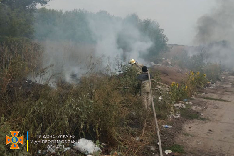 На Днепропетровщине тушили масштабный пожар в лесопосадке - рис. 2