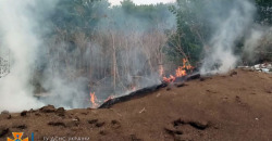 На Днепропетровщине тушили масштабный пожар в лесопосадке - рис. 4