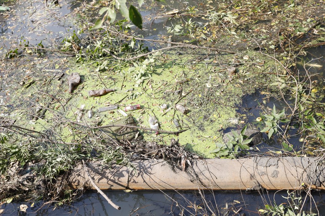 В Днепре до конца года коммунальщики планируют расчистить речку Гнилокиш - рис. 7