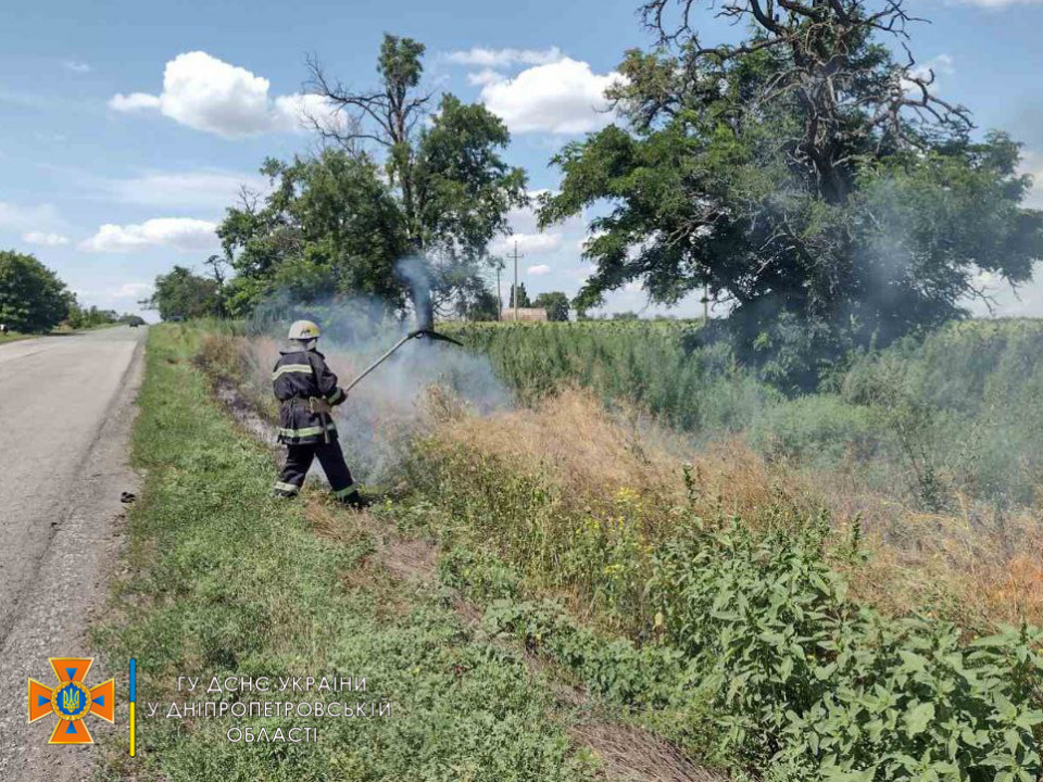 Пожар в экосистеме на Днепропетровщине: под Никополем сгорел 1 га сухостоя - рис. 2