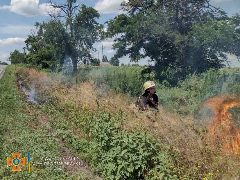 Пожар в экосистеме на Днепропетровщине: под Никополем сгорел 1 га сухостоя - рис. 3