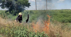 Пожар в экосистеме на Днепропетровщине: под Никополем сгорел 1 га сухостоя - рис. 7