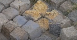 В центре Днепра пранкеры Мивиной «ремонтировали» брусчатку: видео - рис. 1