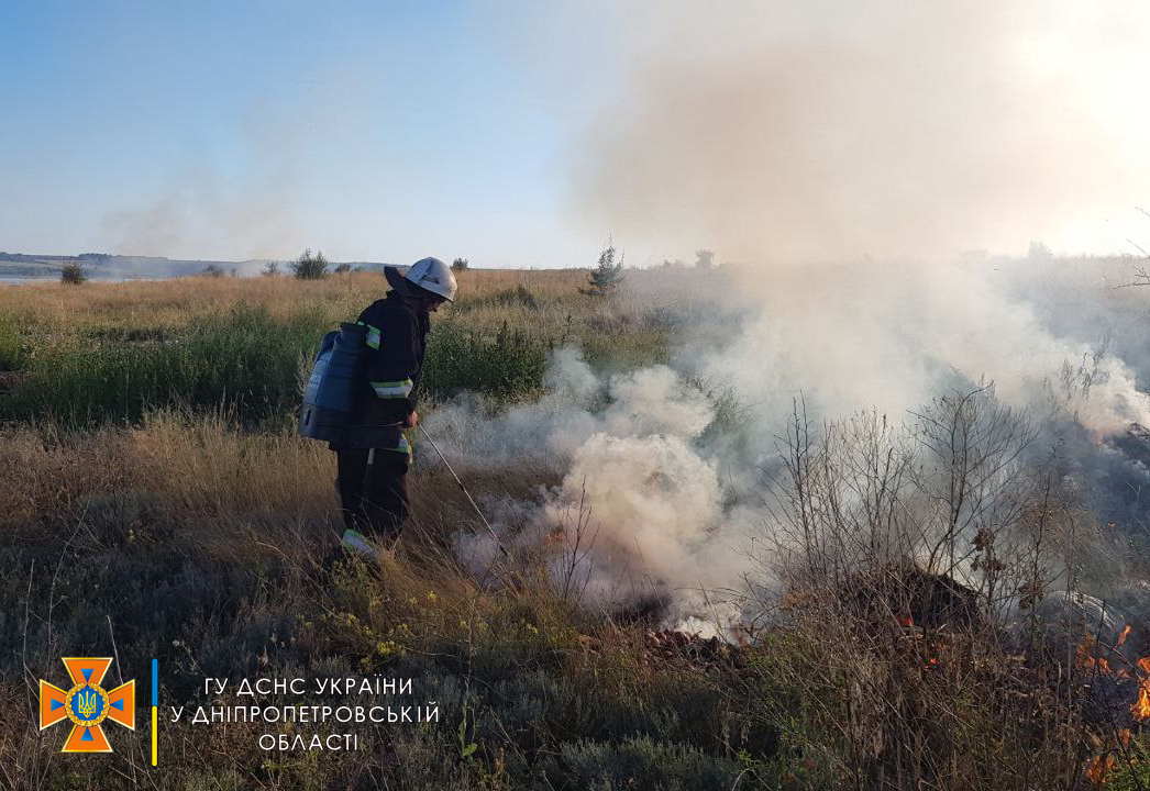 На Днепропетровщине выгорело 4,5 гектара экосистемы - рис. 1