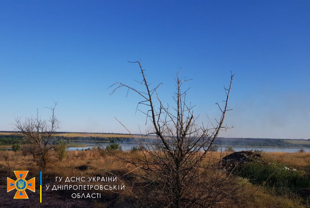 На Днепропетровщине выгорело 4,5 гектара экосистемы - рис. 3