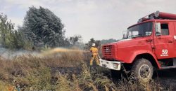 На Днепропетровщине выгорело 3 гектара степной экосистемы - рис. 7