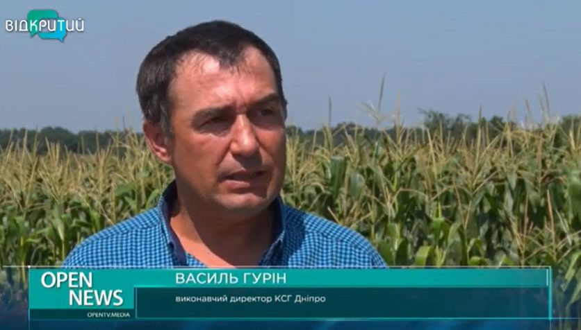 В 2021 году на Днепропетровщине ожидают рекордный урожай кукурузы - рис. 2