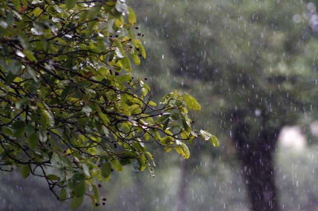 Тепло и дождливо: какую погоду обещают в Днепре 2 сентября - рис. 1