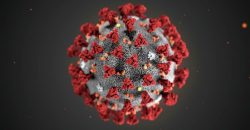Вспышка заболеваемости: сколько днепрян заразились коронавирусом за сутки - рис. 9