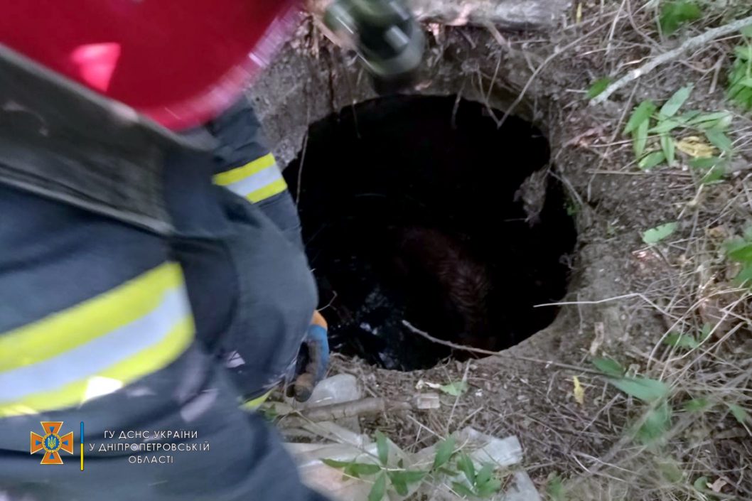 На Днепропетровщине спасатели вытащили из канализационного люка пса - рис. 1