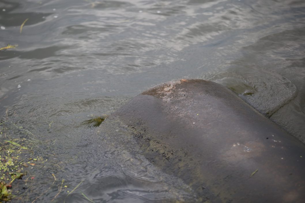 В Днепре начался капитальный ремонт ливневок в районе Сичеславской Набережной - рис. 5