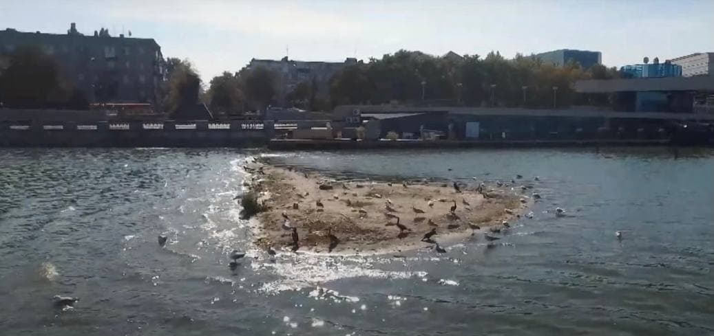 Появившийся островок посреди реки в Днепре несет экологическую опасность: фото - рис. 1