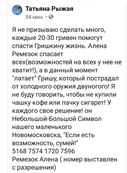 Популярнее мэра: под Днепром может появиться памятник бездомному псу Грише - рис. 1