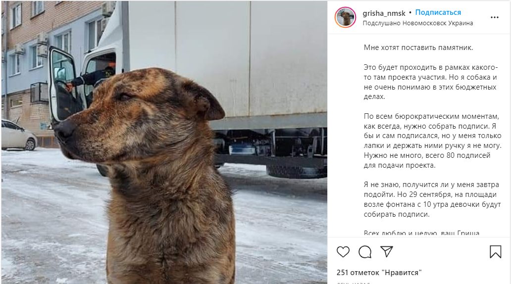 Популярнее мэра: под Днепром может появиться памятник бездомному псу Грише - рис. 4
