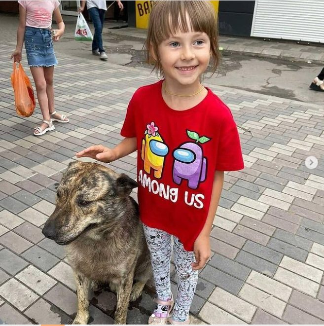 Популярнее мэра: под Днепром может появиться памятник бездомному псу Грише - рис. 6