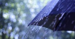 Пасмурно и дождливо: какой будет погода в Днепре на выходных - рис. 3