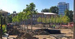 В центре Днепра высадили десяток молодых деревьев - рис. 4