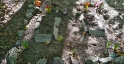 В Днепре на Красном Камне устроили кладбище домашних животных: фото - рис. 9