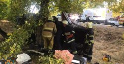 Смертельное ДТП в Днепропетровской области: троих человек зажало в разбитом авто - рис. 22
