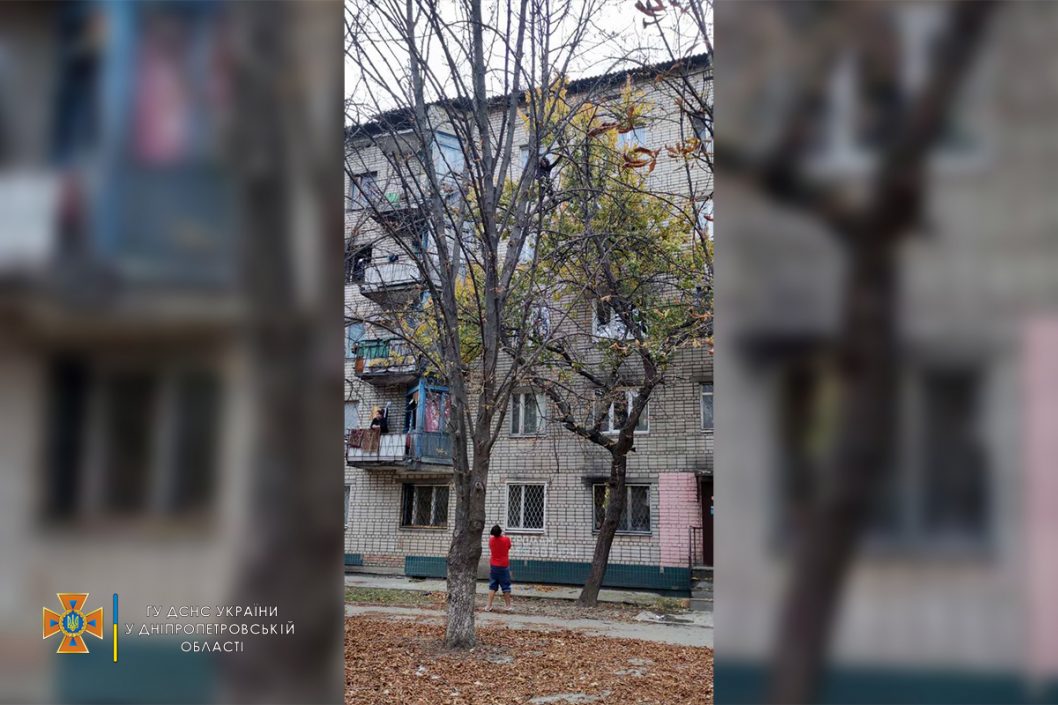 Потянуло в небо: в Никополе спасатели снимали с дерева беременную девушку (Фото) - рис. 1