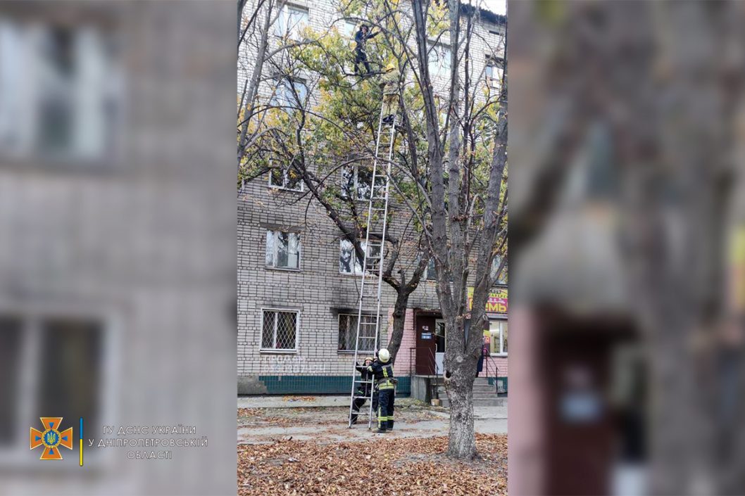 Потянуло в небо: в Никополе спасатели снимали с дерева беременную девушку (Фото) - рис. 3