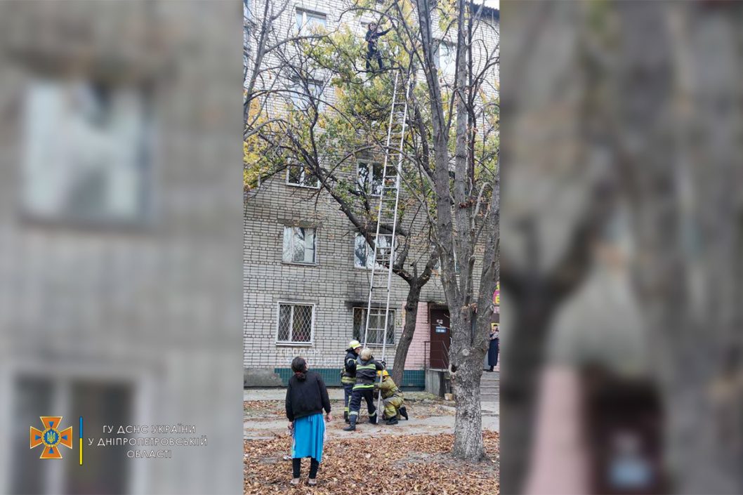 Потянуло в небо: в Никополе спасатели снимали с дерева беременную девушку (Фото) - рис. 2