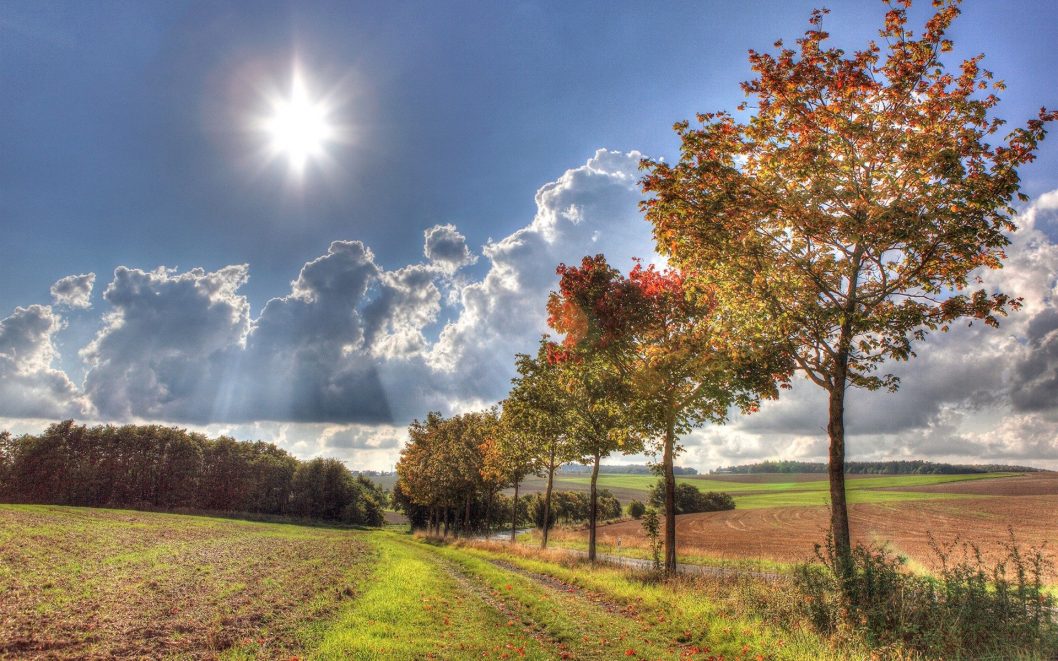 Солнце и переменная облачность: какой будет погода в Днепре 20 октября - рис. 1