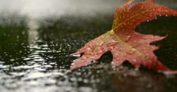 Пасмурно и дождливо: какой будет погода в Днепре 13 октября - рис. 2