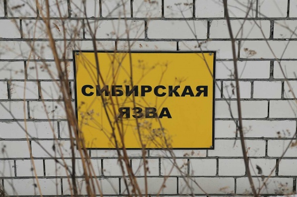 В Украине зафиксировали случай сибирской язвы: подробности - рис. 1