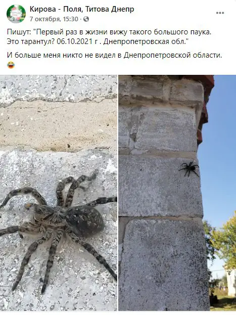 Без пересадок: "Укрзалізниця" запускает новый поезд через Днепр в Карпаты - рис. 1
