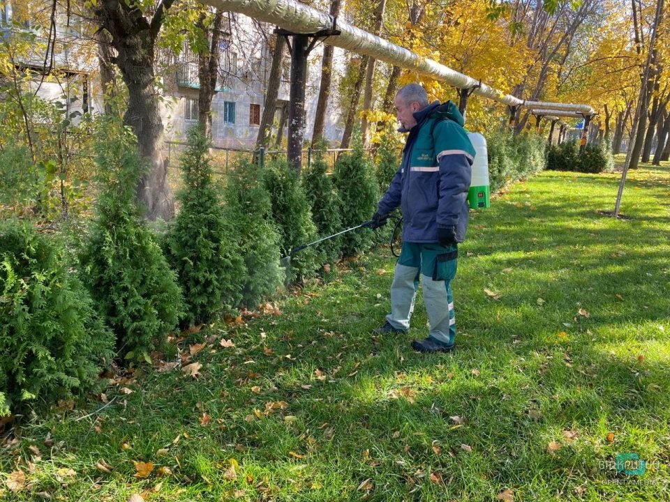 В Днепре готовят к зиме парки города (Фото/Видео) - рис. 4