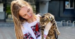 Любит ласку и людей: в днепровском горсовете живет слепая кошка (Видео) - рис. 17