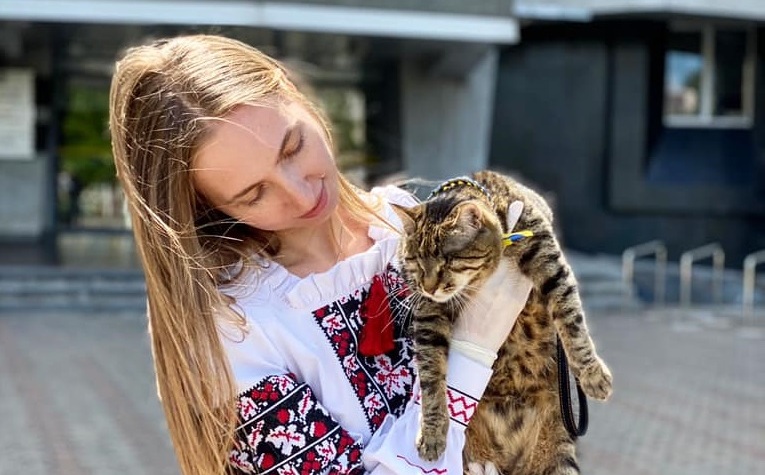 Любит ласку и людей: в днепровском горсовете живет слепая кошка (Видео) - рис. 2