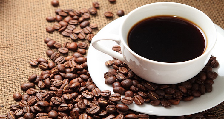 В Днепре стартовала благотворительная акция "Кофе в обмен на дерево" - рис. 3