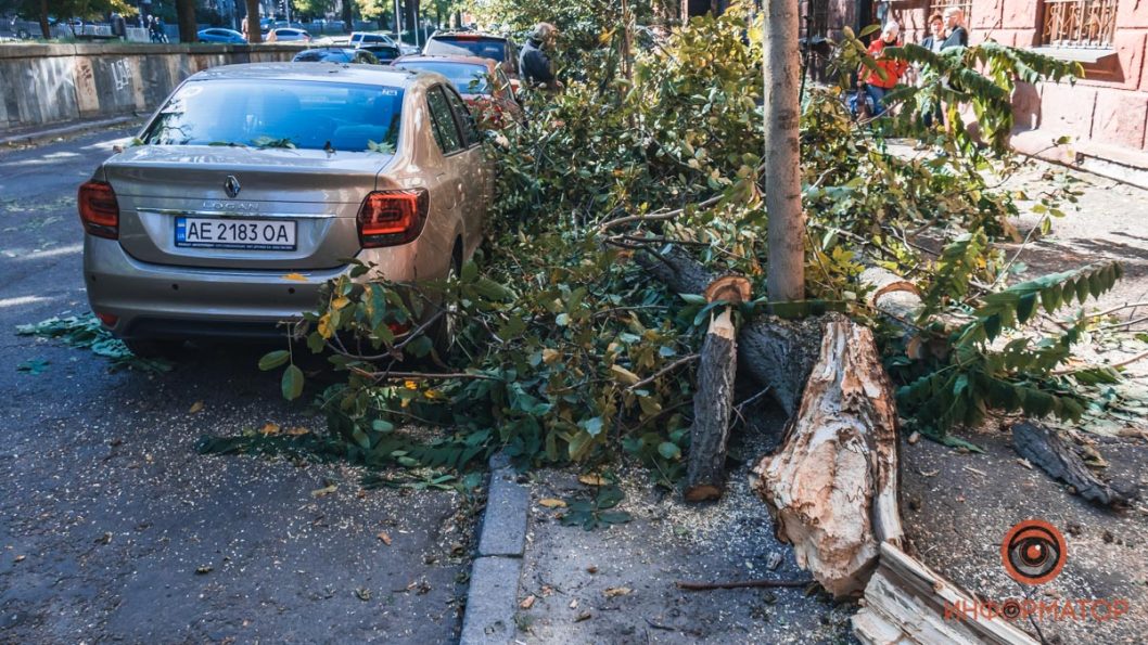 Оборвало провод и повредило машины: в Днепре на улице Гоголя упало дерево - рис. 1
