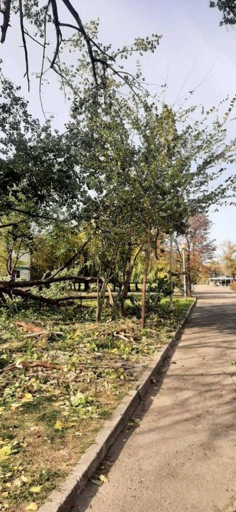 В одном из парков Днепра упала большая ветка дерева - рис. 3