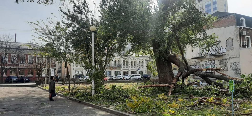 В одном из парков Днепра упала большая ветка дерева - рис. 1