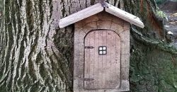 В центре Днепра появился сказочный домик в дереве - рис. 22