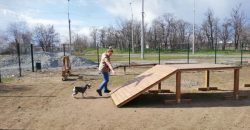 На одном из жилмассивов Днепра появится новый парк для выгула собак - рис. 12